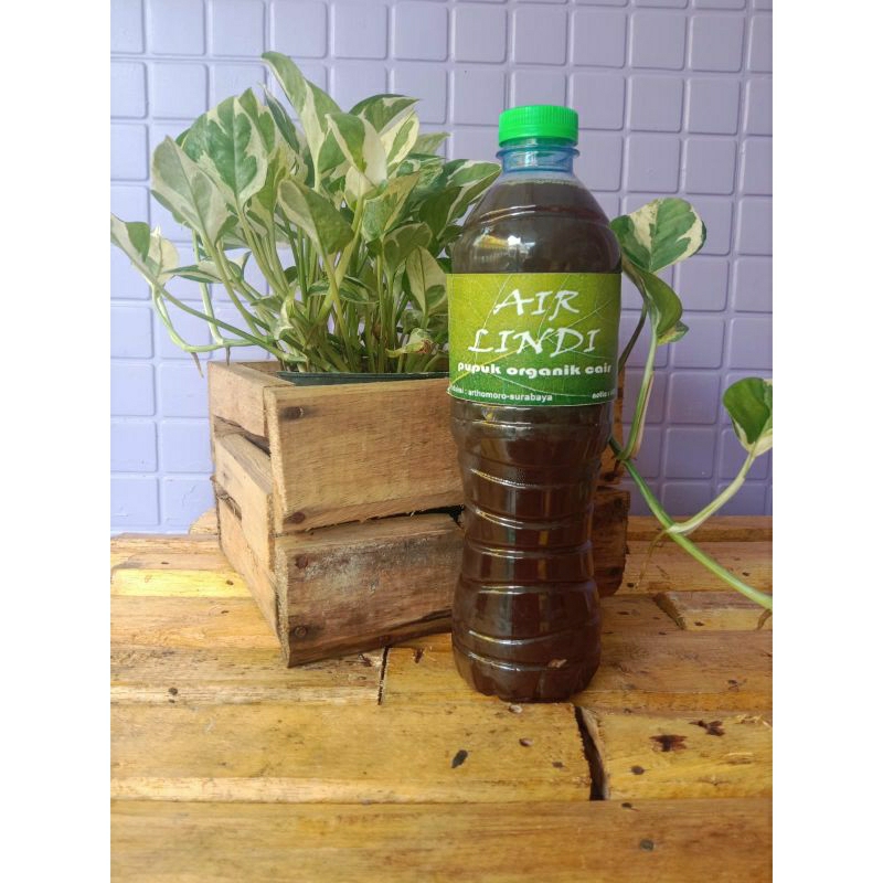 Air Lindi / Pupuk Organik Cair / Cairan Composter