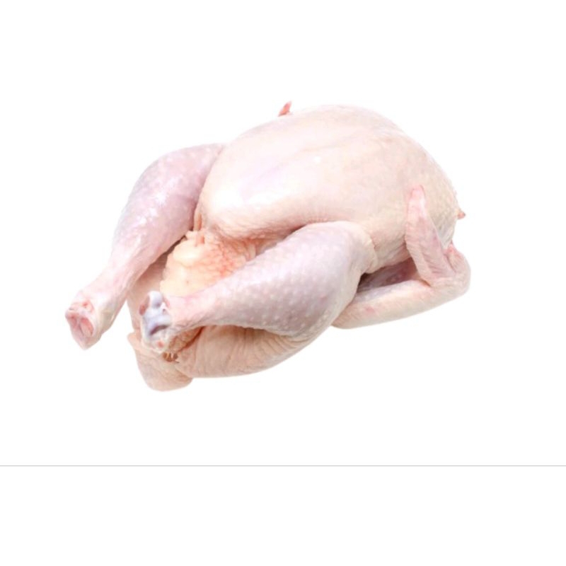 

ayam boiler/ ayam potong 1 kg