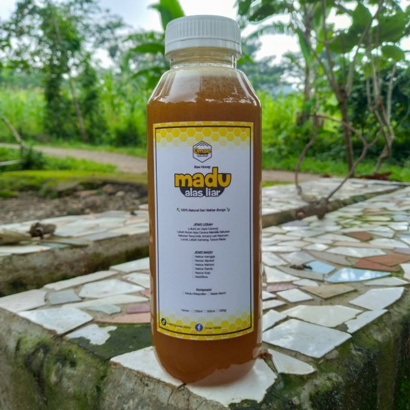 

Madu asli lebah liar apis cerana atau lebah hutan | Isi 500ml | Hasil Mbolang Di Hutan