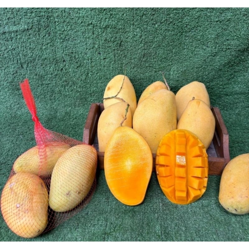 

mangga Thailand fresh 1 kg / mangga dok may fresh 1 kg / mangga namdokmay / mangga namdok Thailand