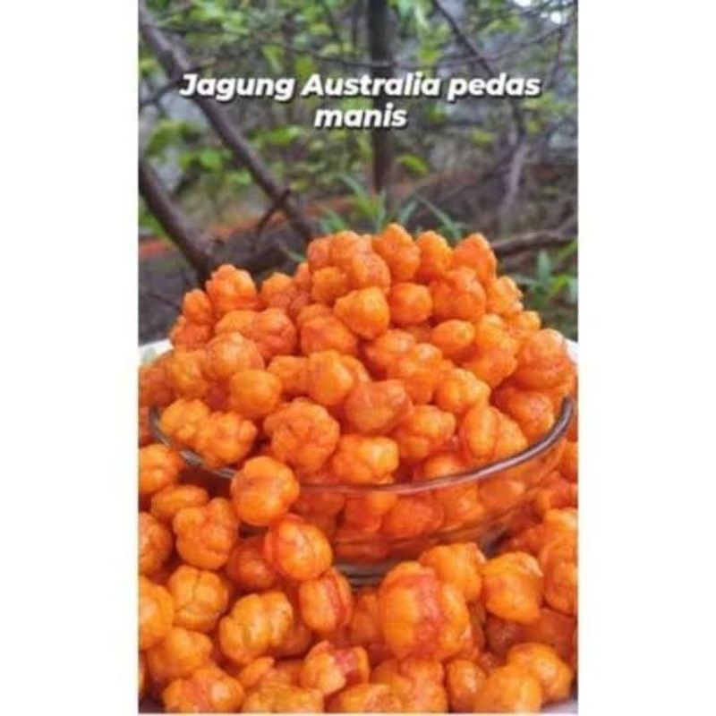 

[250GR] JAGUNG AUSTRALIA/JAGUNG ARAB/JAGUNG AUSTRALIA PEDAS MANIS/PILUS JAGUNG/PILUS ARAB/PILUS AUSTRALIA