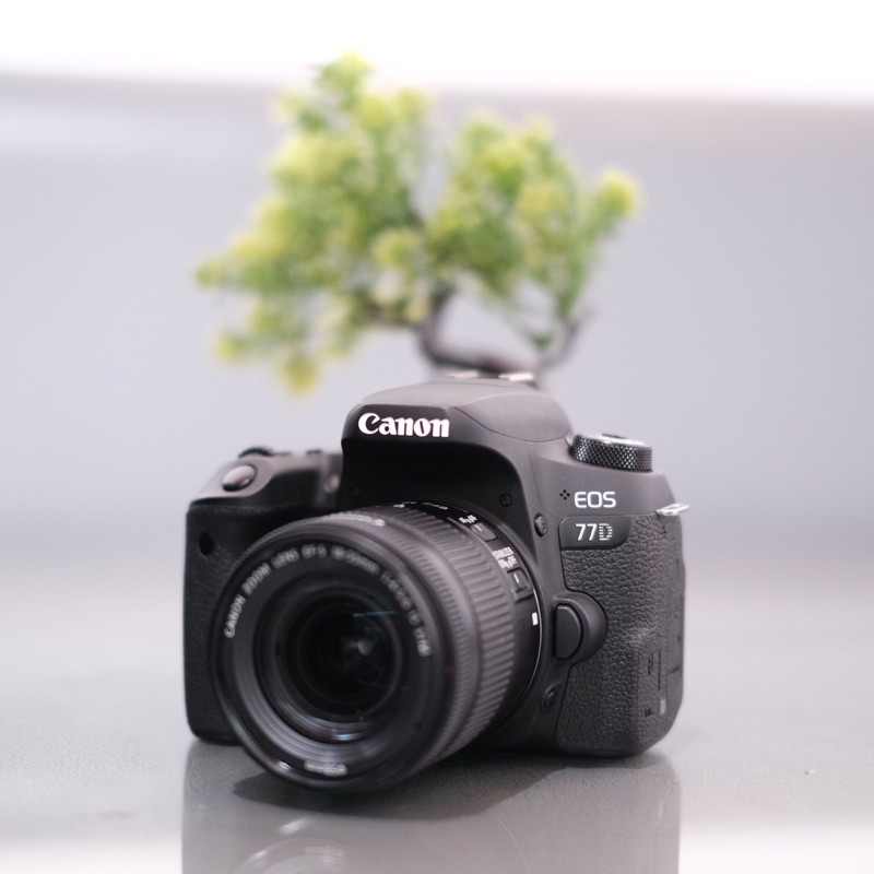 Canon 77D + 18-55mm