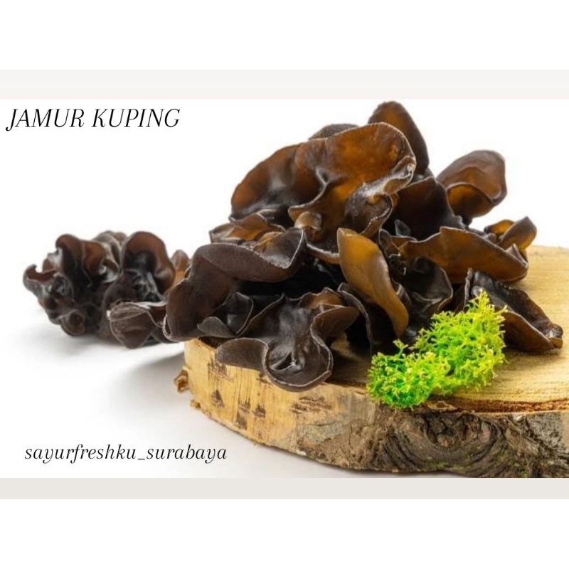

JAMUR KUPING FRESH SAYUR SEGAR SIAP KIRIM