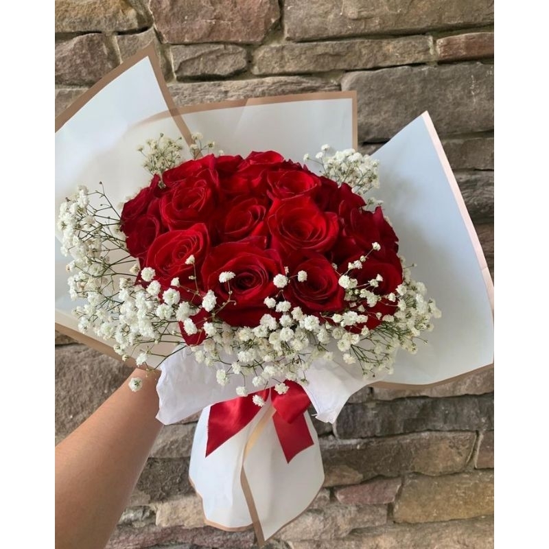 Tanaman Red Rose With Holland tanaman hias bunga mawar