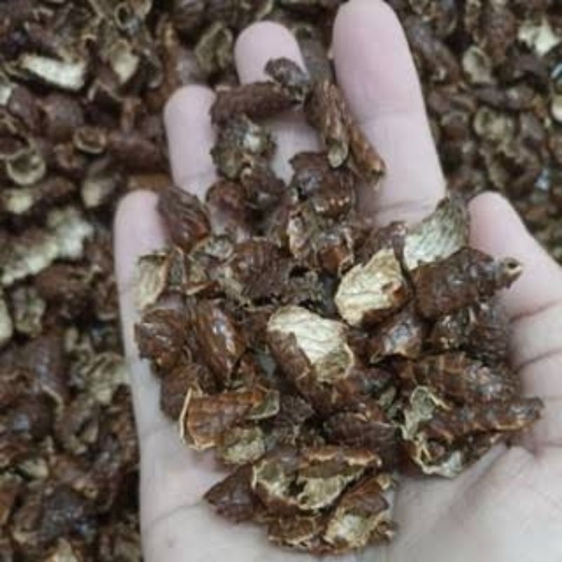 

Kulit Salak Kering Herbal Alami
