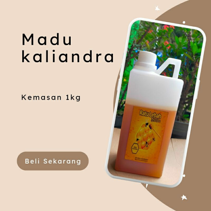 

Madu murni Ratu Lebah jenis madu Kaliandra kemasan 1kg asli 100% untuk menjaga kekebalan tubuh dan mengobati berbagai penyakit