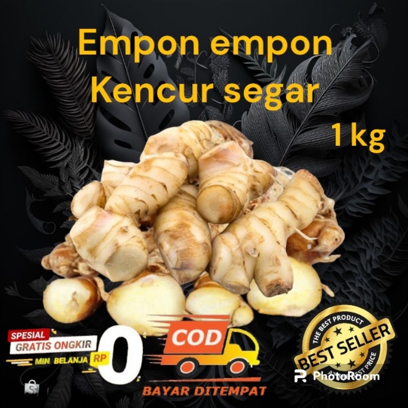 

empon empon kencur segar 1kg