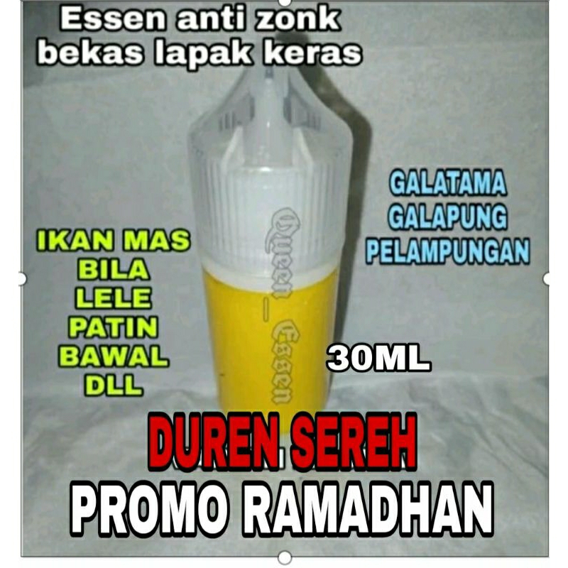 ESSEN MANCING IKAN JUARA INDUKAN DAN TOTALAN DUREN SEREH