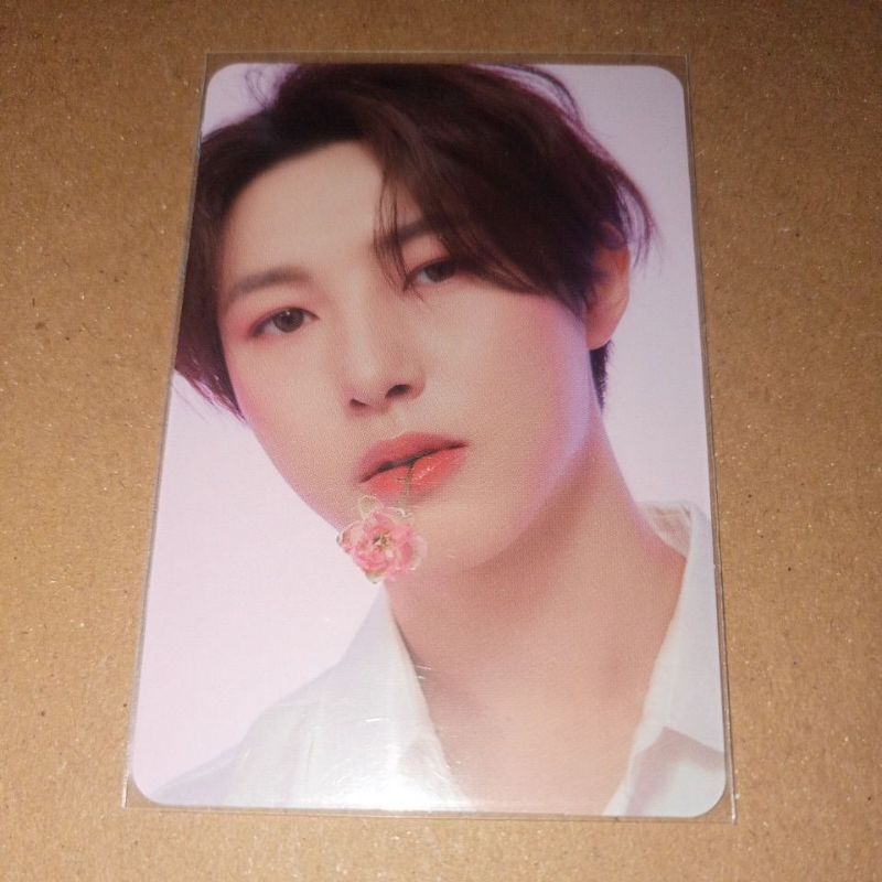 NCT Dream - Renjun Candylab ver. 4 v4 PC Photocard (gigit bunga)