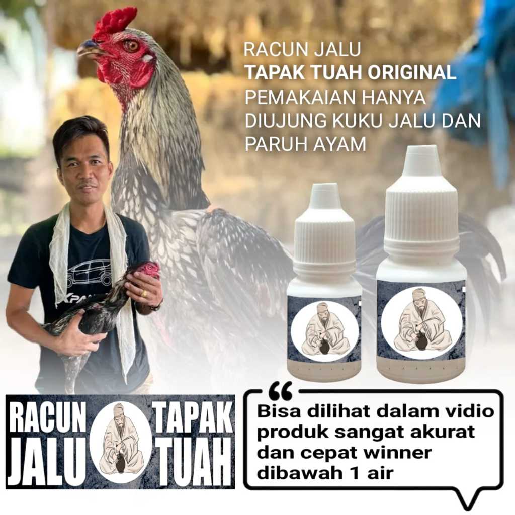 ayam bangkok murah mangon asli pama iq doping vitamin jago aduan racun jalu tapak tuah