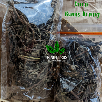

Daun Kumis Kucing Kering Atasi Batu Ginjal Hipertensi Asam Urat