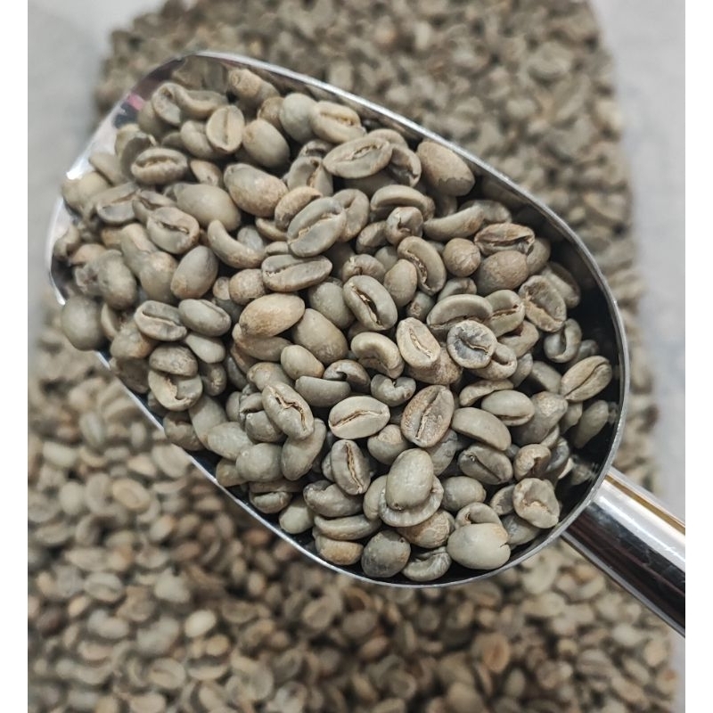 

GREEN BEAN| TAMANGGUNG HONEY