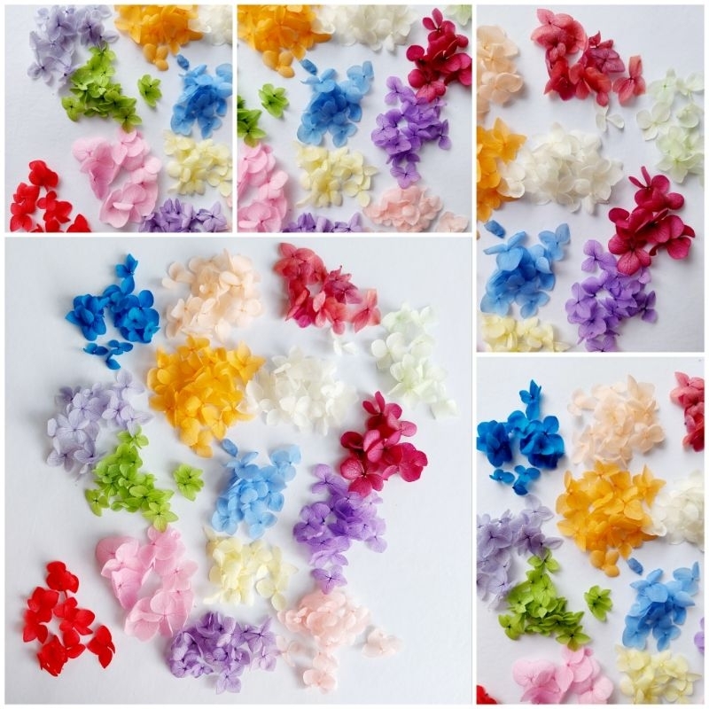 Preserved Hydrangea - Pressed Flower - Kelopak Hydrangea - Hortensia - Bunga kering - Preserved flow