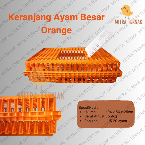 Keranjang Kerambah Ayam Besar Jumbo / Kerambah Ayam Kelinci / Tempat Ayam Besar / Keranjang Ayam Ber