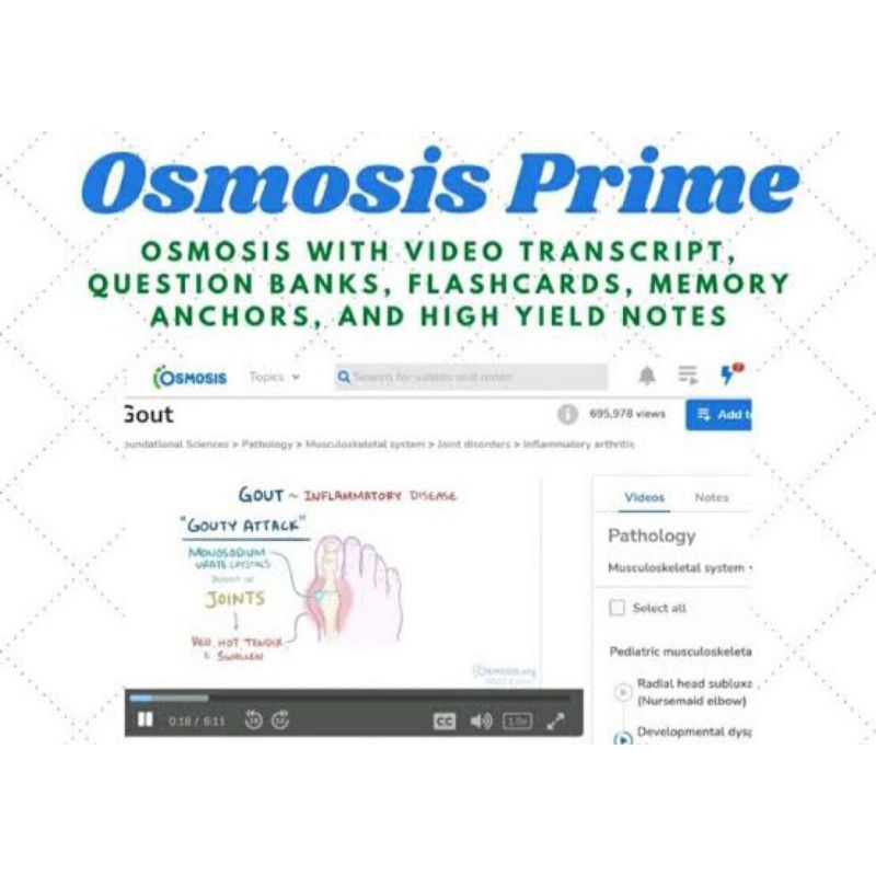 Osmosis Prime 1 Tahun Private