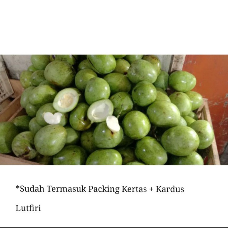 

PKO718 ORIGINAL Mangga Telor atau Telur Muda Mentah 1 kg belah biji asem segar fresh rujak manisan asinan