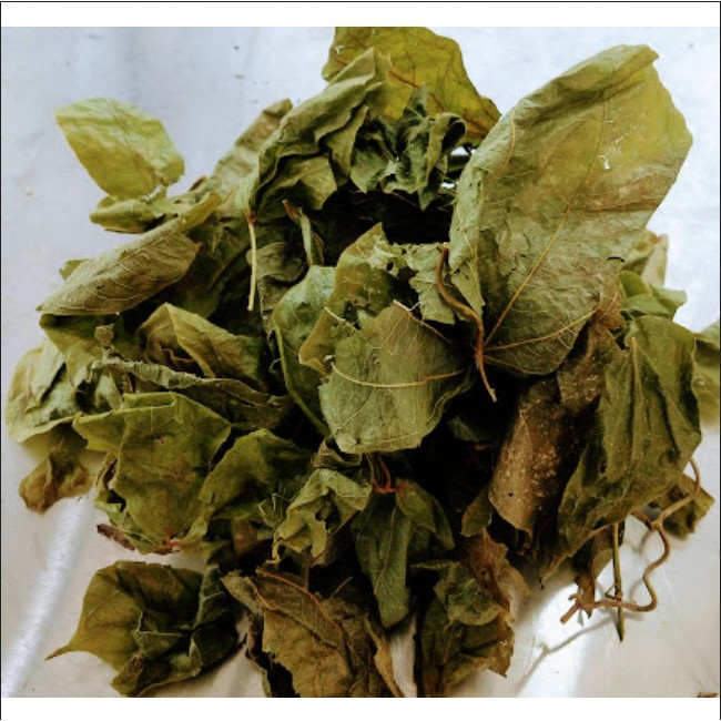 

Daun Gadung Kering / Dried Gadung Leaves