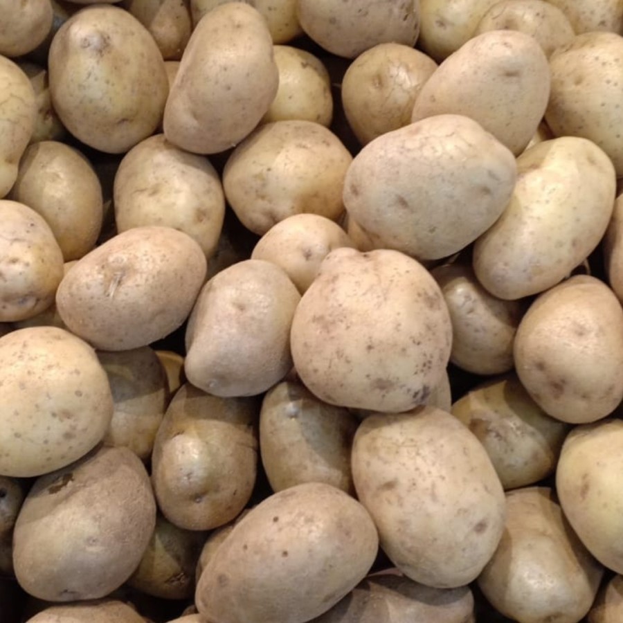 

RB CITRA FRESH - Kentang 1 Kg - Selalu Ready dan Fresh