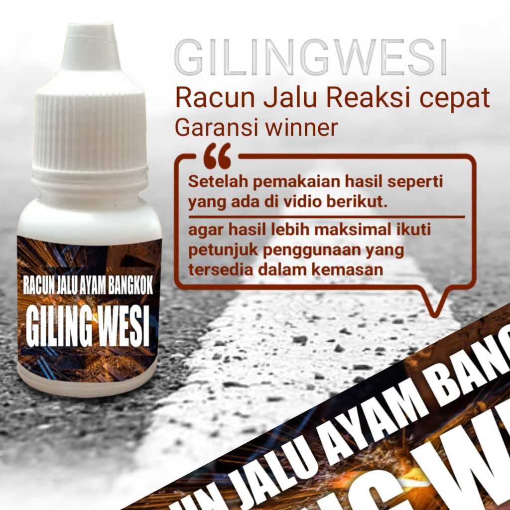 ayam bangkok murah khoyngon asli racun jalu giling wesi vitamin jago super