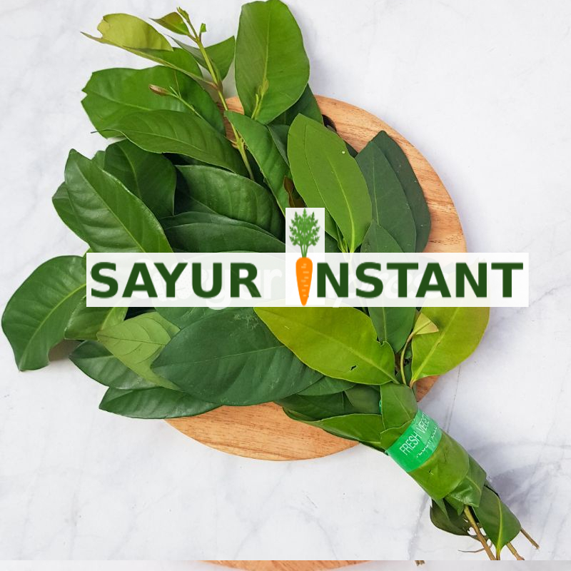 

KIRIM INSTAN Daun Salam Hijau Segar 100gr