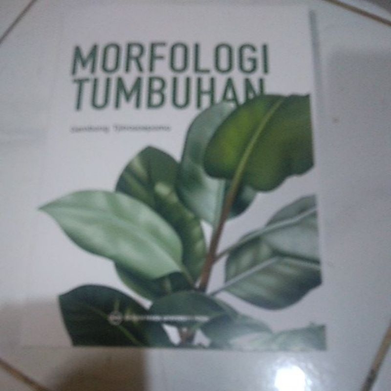 MORFOLOGI TUMBUHAN.