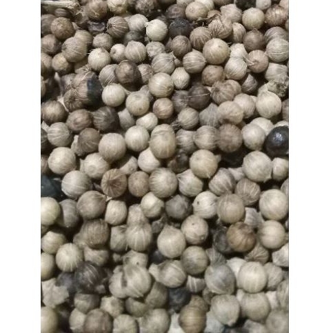 

Merica=lada putih @100gr/bks