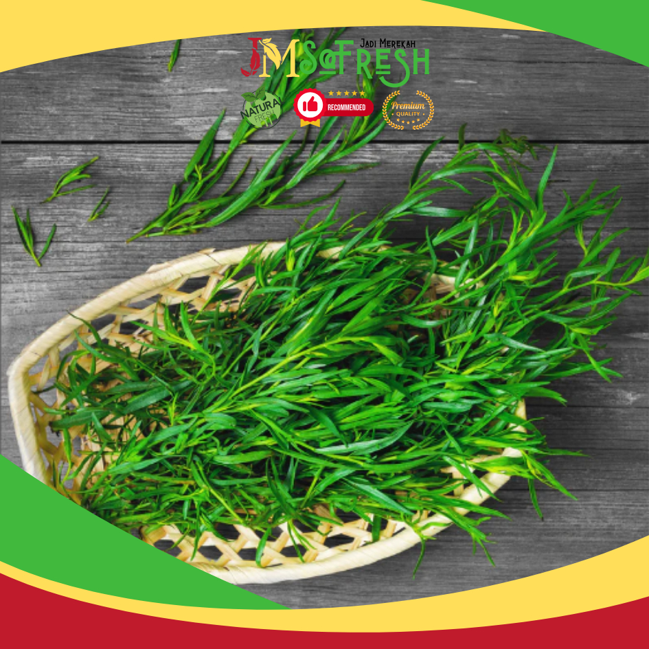 

[JM-SoFresh] Daun Taragon Segar / Tarragons Leaves Fresh Cutting 25 Gram
