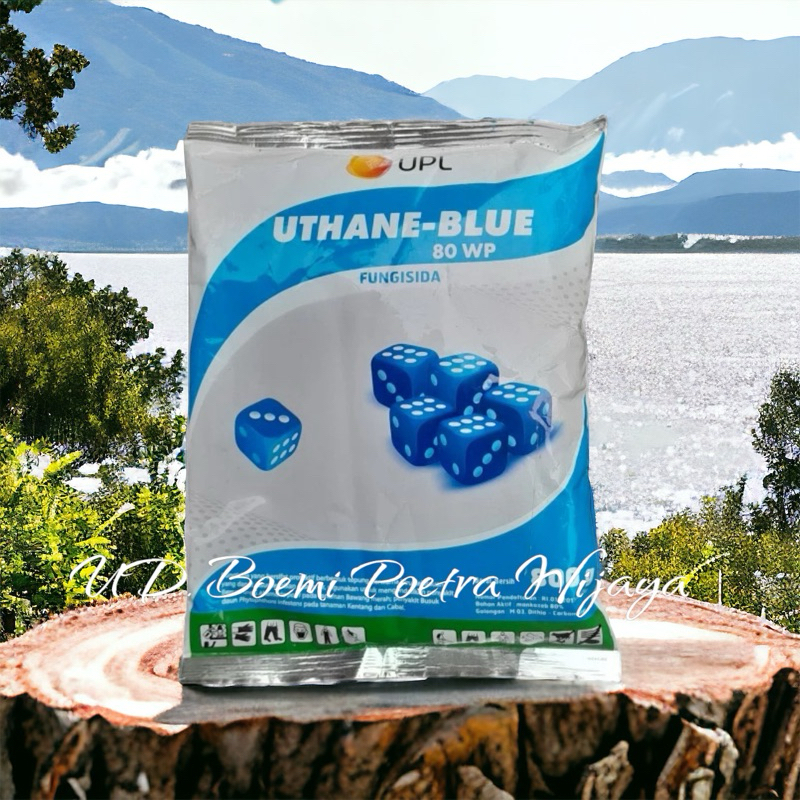 FUNGISIDA UTHANE BLUE 80WP