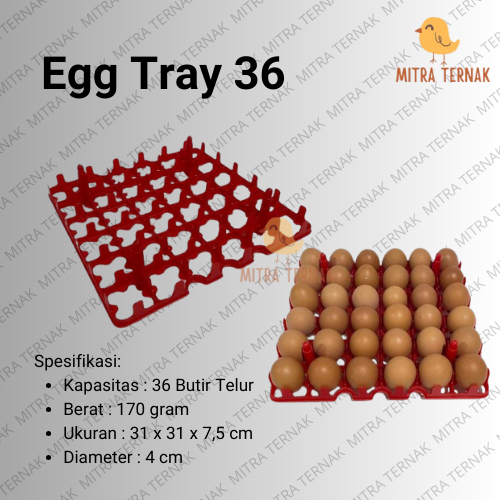 Egg Tray 36 / Tempat Telur Plastik / Tempat Telur Ayam Layer / Wadah Telur Ayam / Rak Telur / Rak Su