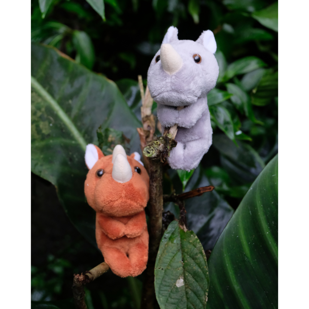 BONEKA BADAK JAWA DAN BADAK SUMATERA BONEKA BADAK JAWA KECIL BONEKA DUDUK - CHOKKORI RHINO