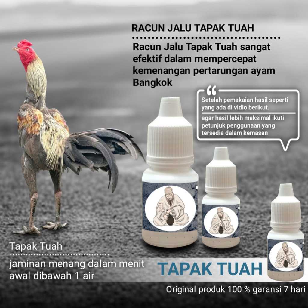 racun jalu ayam bangkok asli murah pama iq doping jago aduan tapak tuah