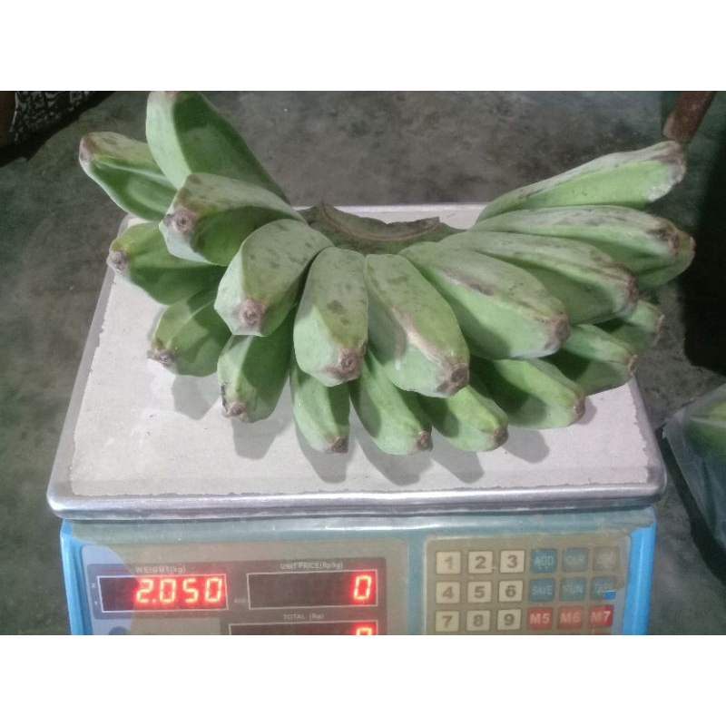 

Pisang kepok super (pengiriman dr Medan)