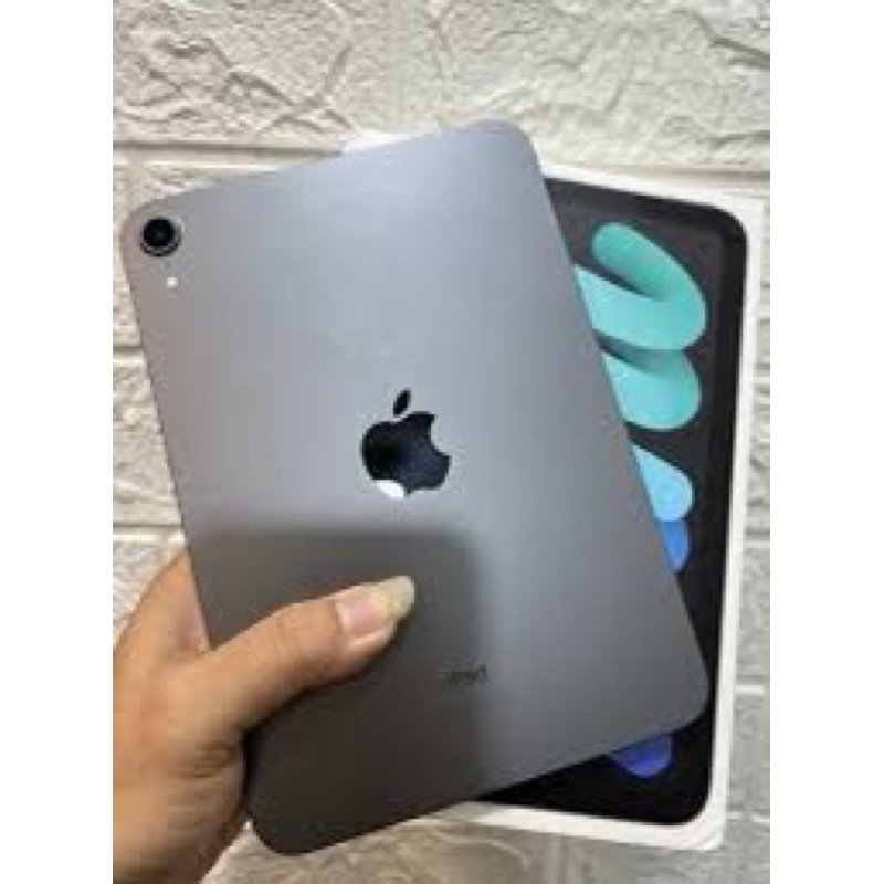preloved ipad mini 6