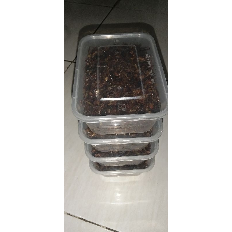 

BelalangGoreng
