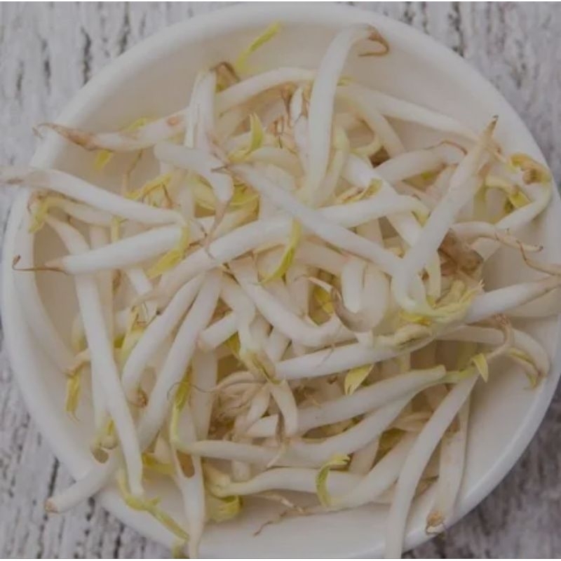 

Syegar Taoge / Toge fresh 250gr