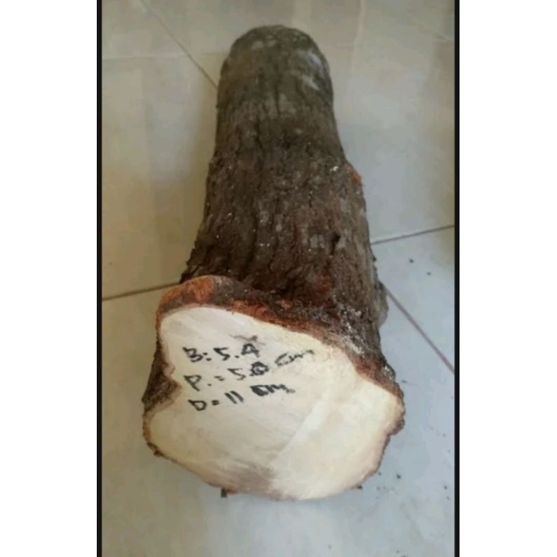 kayu cendana jawa bahan
