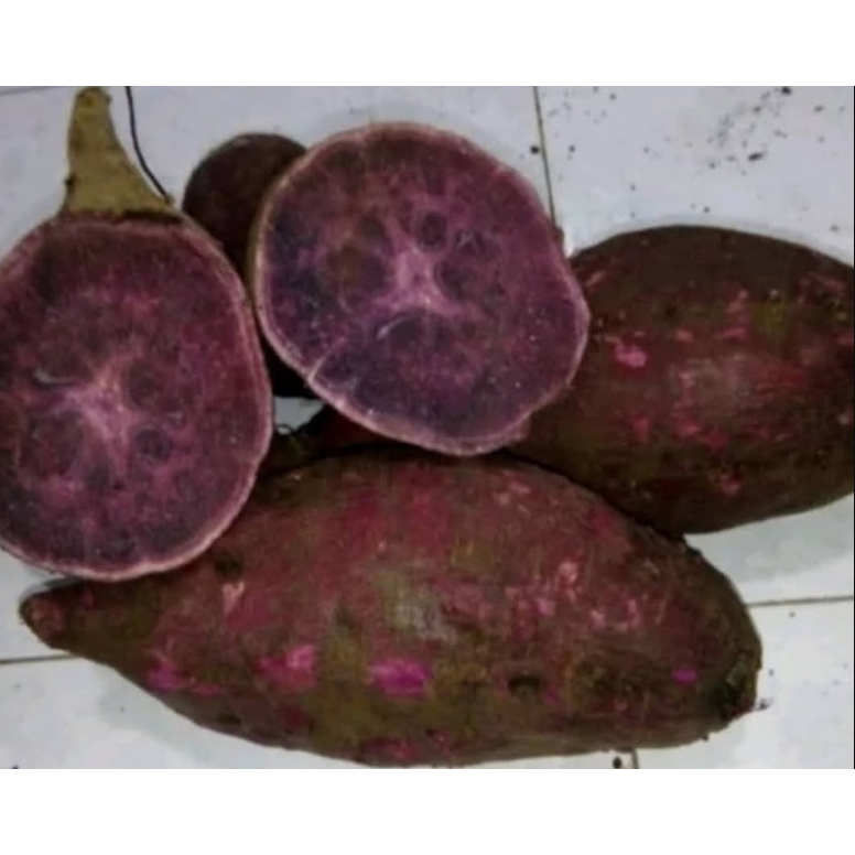 1 KG Ubi Ungu / Ubi Jalar Ungu Mentah