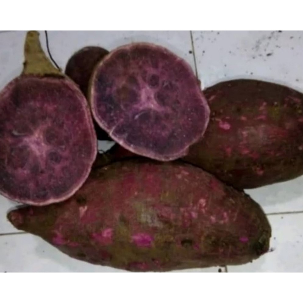 1 kg Ubi Ungu / Ubi Jalar Ungu Mentah