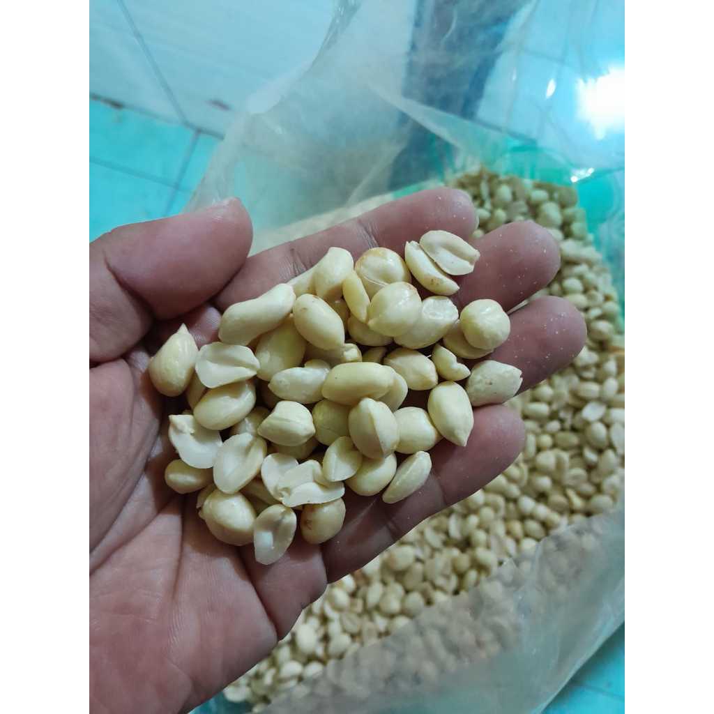 

Kacang Kupas Jumbo 1kg Sangat Cocok Untuk Anda "Perlu Digoreng