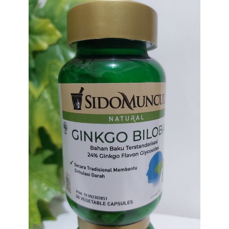 Ginkgo Biloba Herbal Sidomuncul isi 30 kapsul