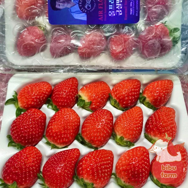 

Strawberry Korea Ahjumma Berat 330 Gram/Pack