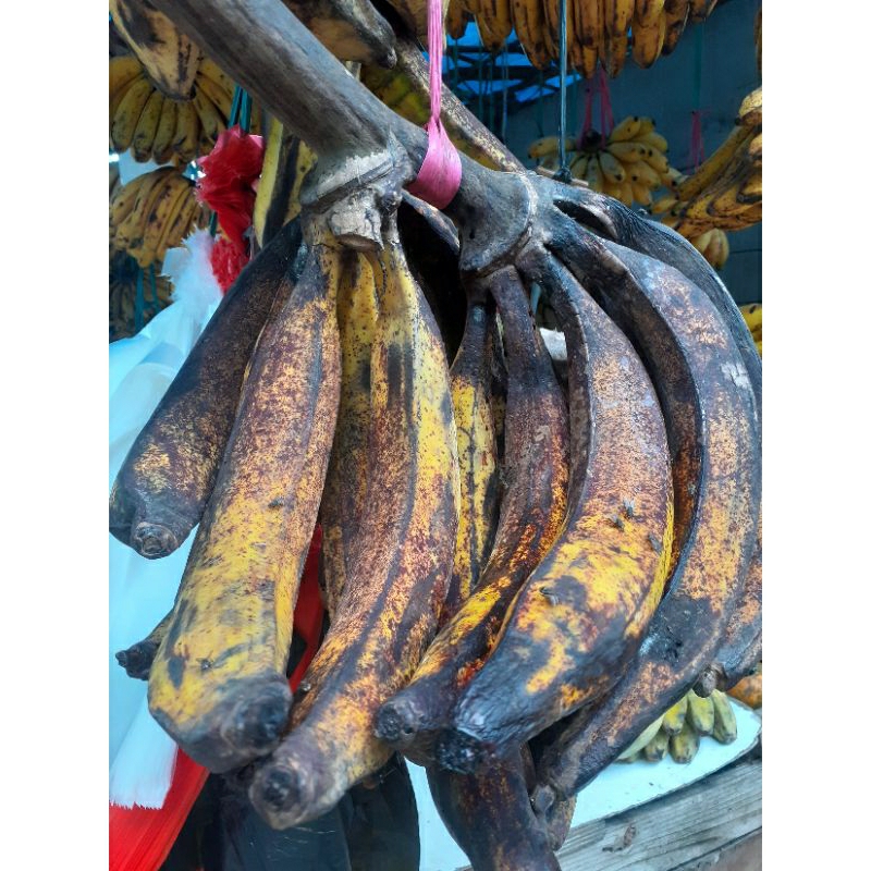 

Pisang tanduk mantap digoreng dan buat kolak