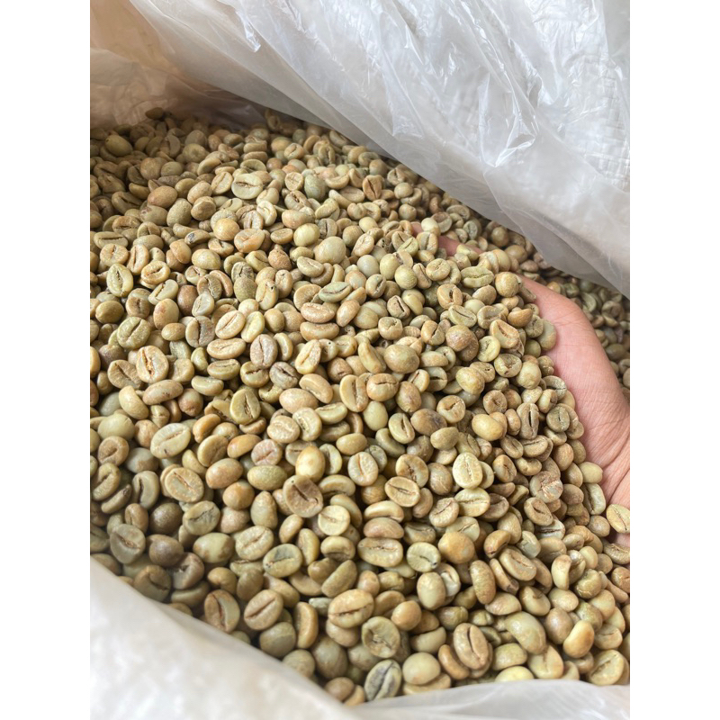 

GreenBean Robusta Gn Kawi PREMIUM / kopi mentah robusta