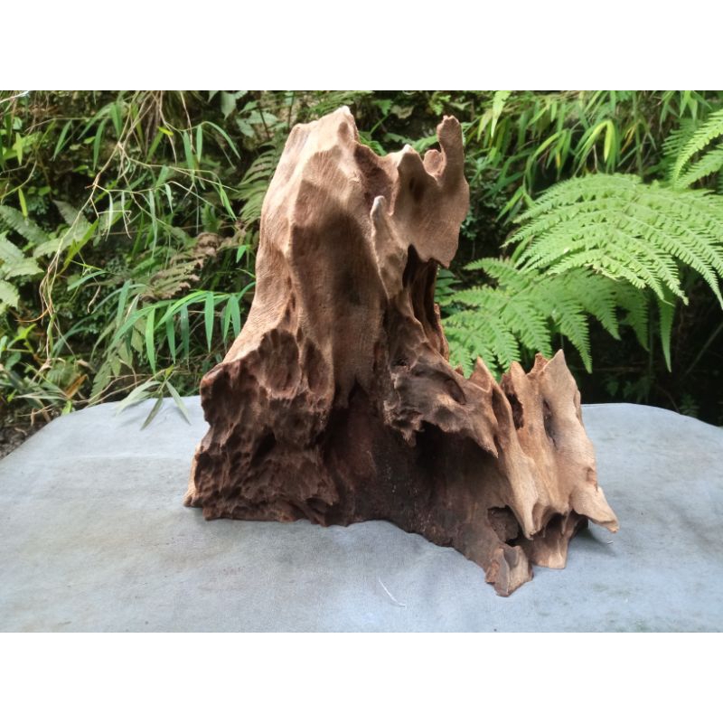 kayu Aquascape murah Full Tenggelam