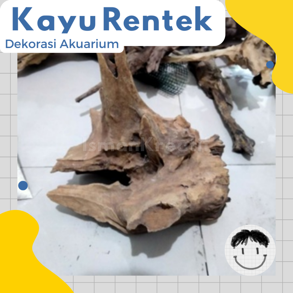 Kayu Aquascape Kayu rentek