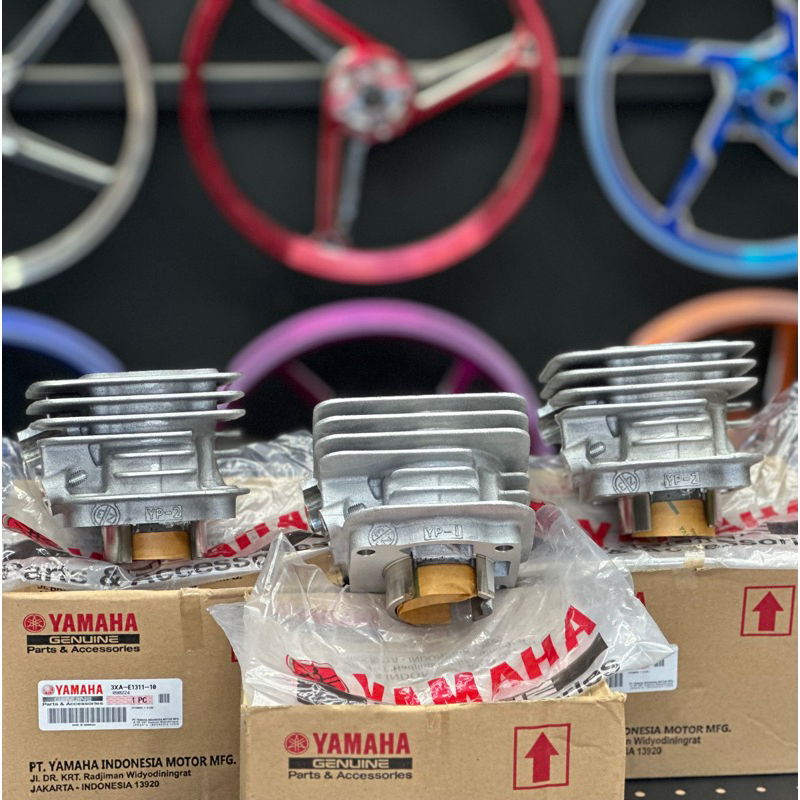 cylinder blok boring fizr f1zr forceone original yamaha yp1 yp2 3XA-E1311-10