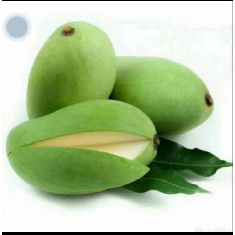 

mangga muda rujak frees asem