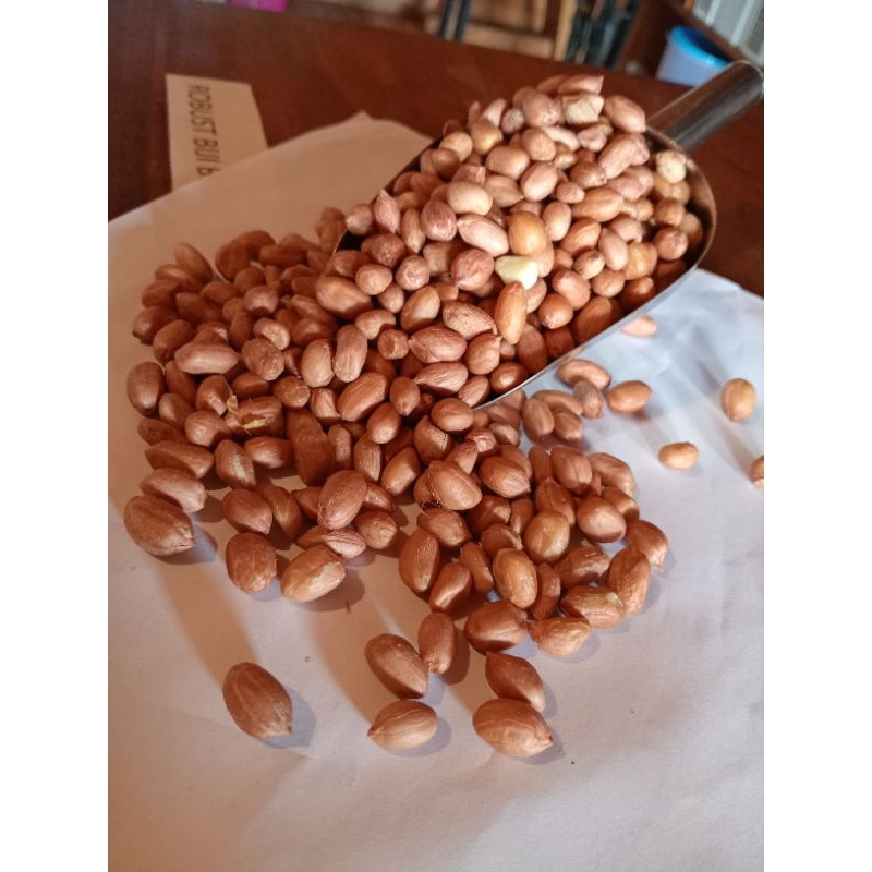 

biji kacang tanah kering