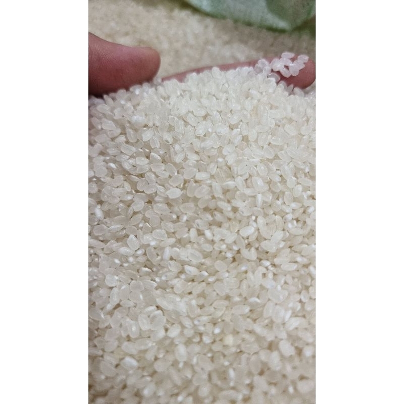 

Beras Japonika Japonica Rice 25 KG Impor Jepang Japan - Bambu Wangi