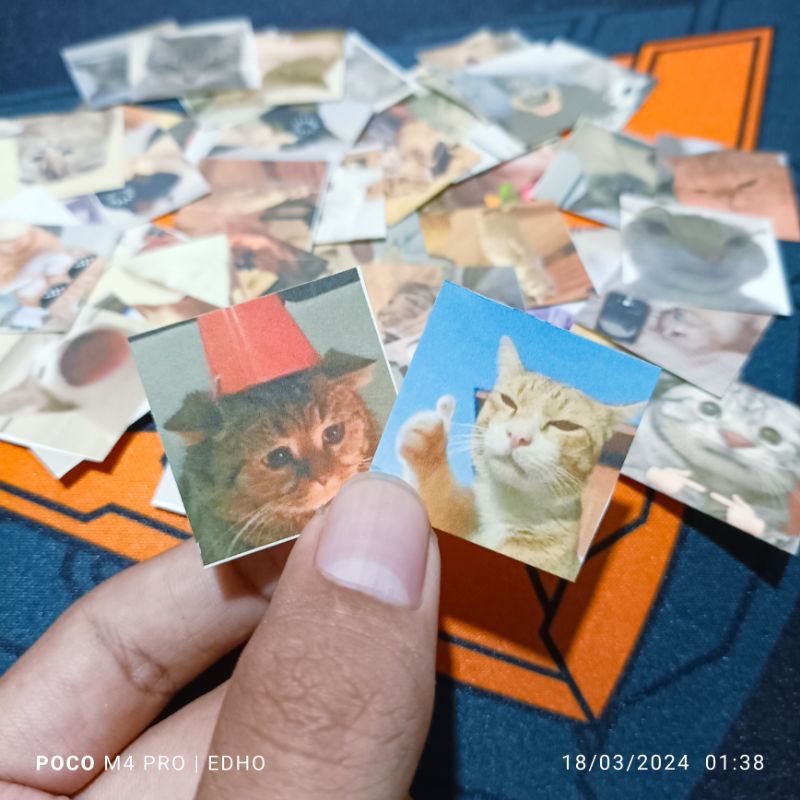 

stiker kucing lucu / sticker kucing / stiker meme / stiker hewan [ isi 50pcs ]